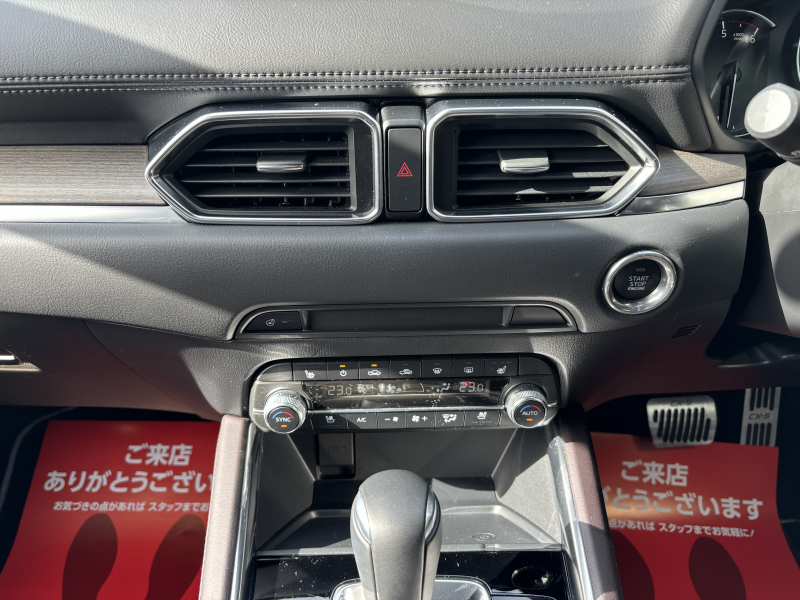 car thumbnails